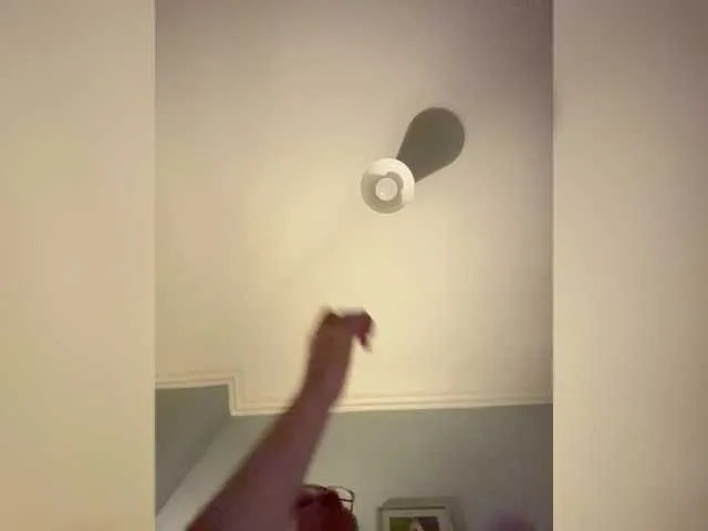 AndreElis on BongaCams