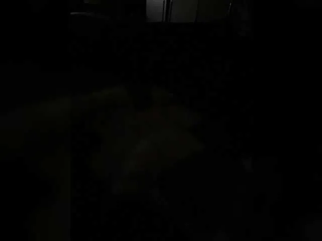 Chemezoff on BongaCams