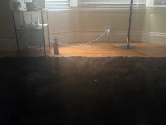 DelightfulDark on BongaCams