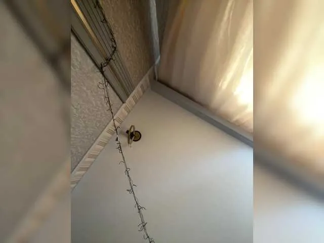 keit69vs1 — Freechat on BongaCams