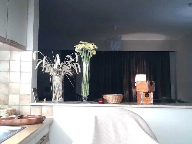 UllimOhi on BongaCams 