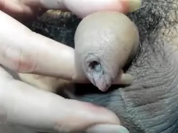 sasha_hale_ on Chaturbate 