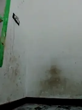 Bigg_bhabi on StripChat