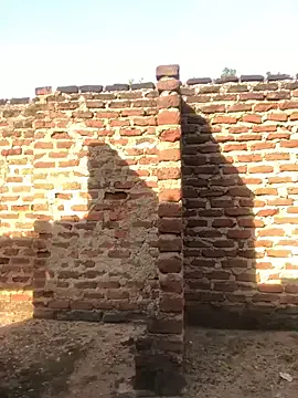 DOJAPATIENCE8 on StripChat