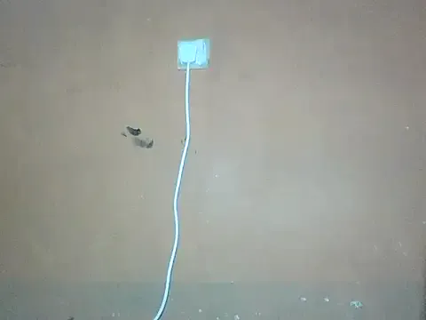 Naivegirrl on StripChat