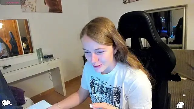 Piinkpandora — New cat tree for my cats 