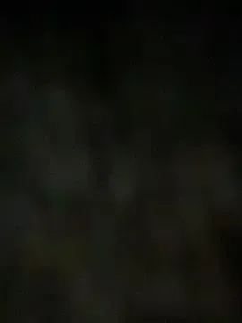 Robin_Rief on StripChat