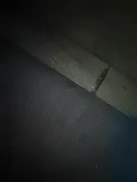 Srmotrs — Precum show