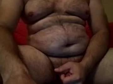 1984hairybear webcams show profile image 