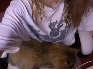 Dontoke_ webcams show profile image 