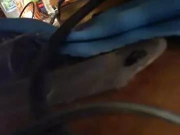 Geocuck webcams show profile image 