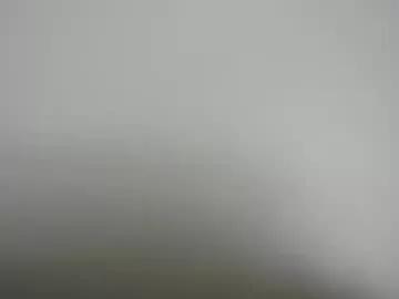 jimmybeam3 from Chaturbate