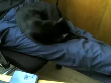 muller520 from Chaturbate