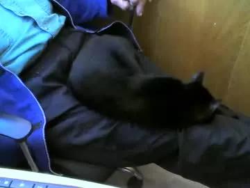 muller520 from Chaturbate
