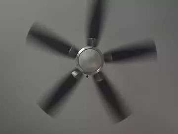 Natedogg185 webcams show profile image 