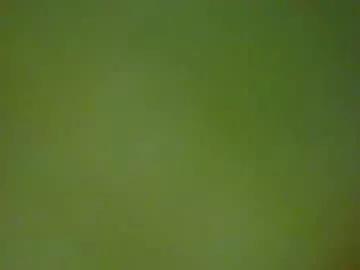 thetiger6 from Chaturbate