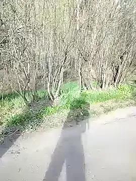 Siberia-Taiga webcams show profile image 