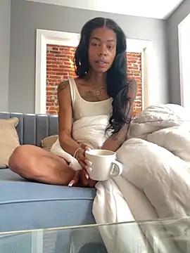 Thedoll webcams show profile image 